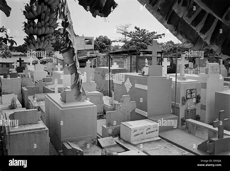 manila north cemetery list of dead|At Manila North Cemetery, the living make their .